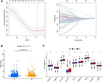 A novel disulfidptosis-associated expression pattern in breast cancer based on machine learning